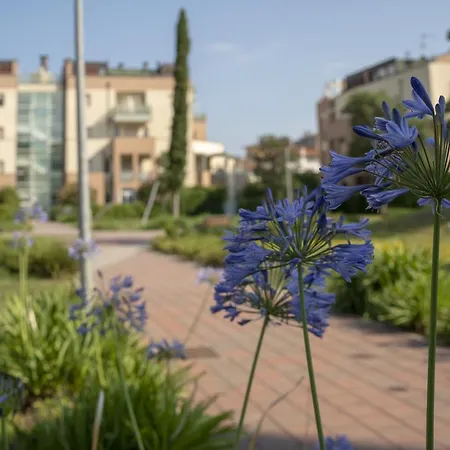 Fellini - Family Flat *