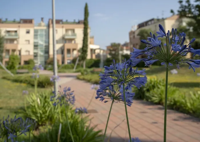 Fellini - Family Flat *